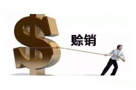 卫东企业清欠服务